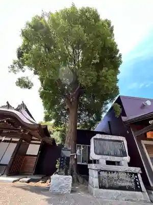 酒列磯前神社(茨城県)