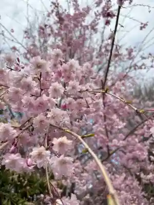 信濃比叡廣拯院の{uncategorized: "未分類", other: "その他", undefined: "問題あり", building: "その他建物", grave: "お墓", sacred_gate: "鳥居", guardian: "狛犬", statue: "像", buddha: "仏像", history: "歴史", nature: "自然", garden: "庭園", animal: "動物", pagoda: "塔", temizu: "手水舎", mountain_gate: "山門・神門", sanctuary: "本殿・本堂", subordinate: "末社・摂社", art: "芸術", scenery: "景色", jizo: "地蔵", ema: "絵馬", goshuin: "御朱印", omikuji: "おみくじ", items: "授与品その他", amulet: "お守り", goshuincho: "御朱印帳", eats: "食事", festival: "お祭り", votive_dance: "神楽", shichigosan: "七五三参", wedding: "結婚式", experience: "体験その他", initially: "初詣", around: "周辺", anti_infection: "感染症対策"}