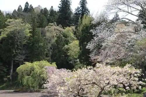 白幡八幡神社の景色