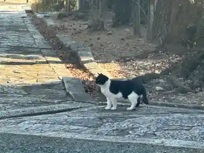 立本寺の{uncategorized: "未分類", other: "その他", undefined: "問題あり", building: "その他建物", grave: "お墓", sacred_gate: "鳥居", guardian: "狛犬", statue: "像", buddha: "仏像", history: "歴史", nature: "自然", garden: "庭園", animal: "動物", pagoda: "塔", temizu: "手水舎", mountain_gate: "山門・神門", sanctuary: "本殿・本堂", subordinate: "末社・摂社", art: "芸術", scenery: "景色", jizo: "地蔵", ema: "絵馬", goshuin: "御朱印", omikuji: "おみくじ", items: "授与品その他", amulet: "お守り", goshuincho: "御朱印帳", eats: "食事", festival: "お祭り", votive_dance: "神楽", shichigosan: "七五三参", wedding: "結婚式", experience: "体験その他", initially: "初詣", around: "周辺", anti_infection: "感染症対策"}