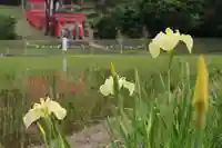高屋敷稲荷神社の景色