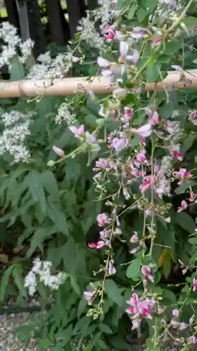梨木神社(京都府)