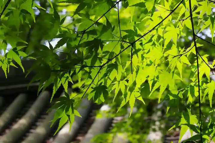 西教寺(滋賀県)