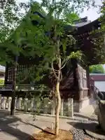 熊野神社(東京都)