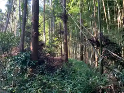 第六天神社の周辺