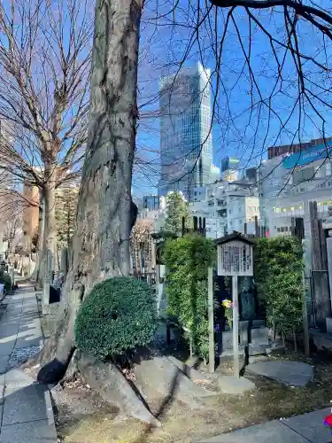 常圓寺の{uncategorized: "未分類", other: "その他", undefined: "問題あり", building: "その他建物", grave: "お墓", sacred_gate: "鳥居", guardian: "狛犬", statue: "像", buddha: "仏像", history: "歴史", nature: "自然", garden: "庭園", animal: "動物", pagoda: "塔", temizu: "手水舎", mountain_gate: "山門・神門", sanctuary: "本殿・本堂", subordinate: "末社・摂社", art: "芸術", scenery: "景色", jizo: "地蔵", ema: "絵馬", goshuin: "御朱印", omikuji: "おみくじ", items: "授与品その他", amulet: "お守り", goshuincho: "御朱印帳", eats: "食事", festival: "お祭り", votive_dance: "神楽", shichigosan: "七五三参", wedding: "結婚式", experience: "体験その他", initially: "初詣", around: "周辺", anti_infection: "感染症対策"}