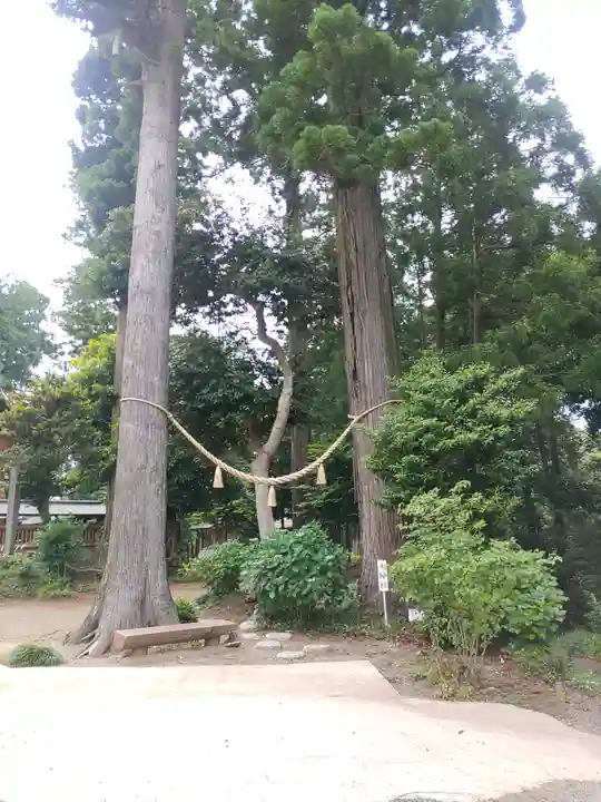 山倉大神(千葉県)