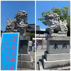 富知六所浅間神社の狛犬