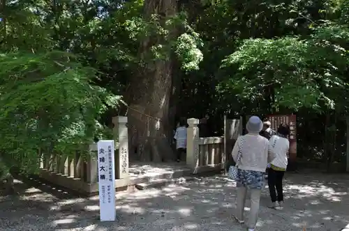 伊弉諾神宮の自然