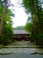 椿大神社の本殿