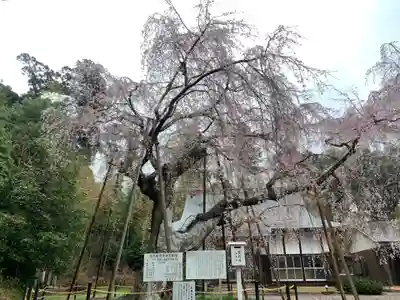 福星寺(千葉県)