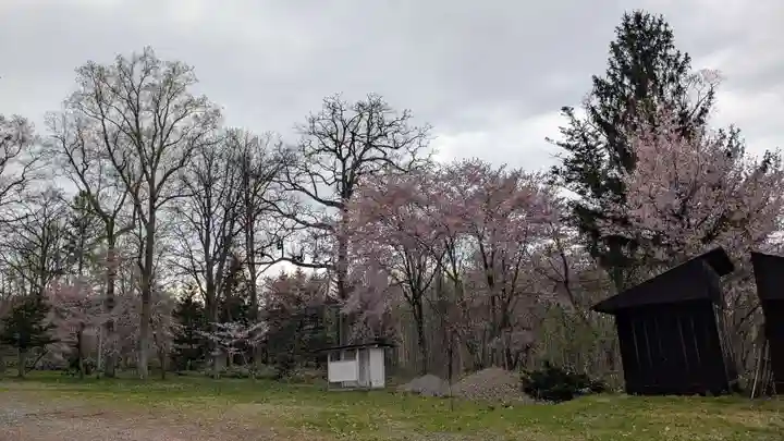雨紛神社の自然