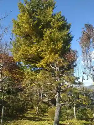 弥勒寺(宮城県)