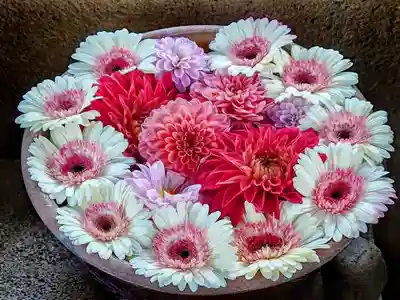 上野東照宮の手水舎