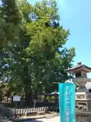 鑁阿寺の自然