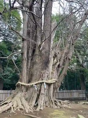 峯ヶ岡八幡神社(埼玉県)