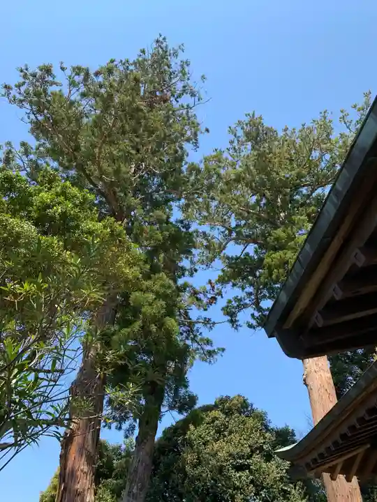 三社神社の末社・摂社