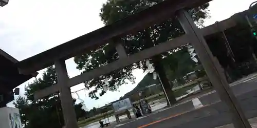 大井神社の鳥居