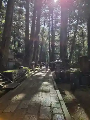高野山金剛峯寺奥の院(和歌山県)