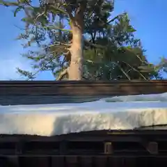 滑川神社 - 仕事と子どもの守り神の建物その他