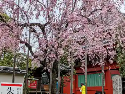 矢先稲荷神社(東京都)