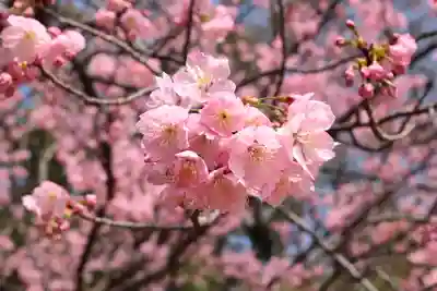 三津厳島神社(愛媛県)