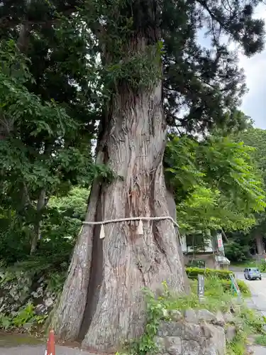 戸隠神社中社(長野県)