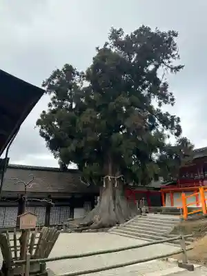 春日大社(奈良県)