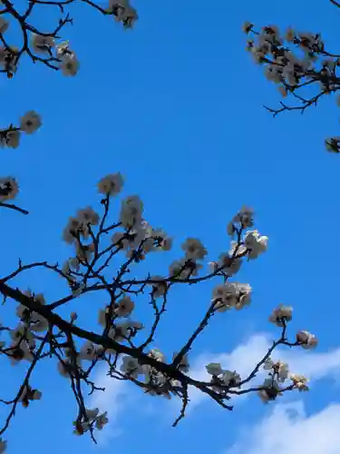 田端神社(東京都)