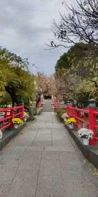 亀戸天神社(東京都)