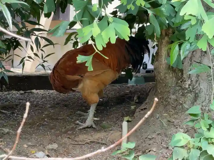 観音寺(神奈川県)