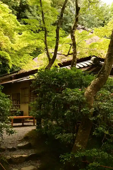 祇王寺(京都府)