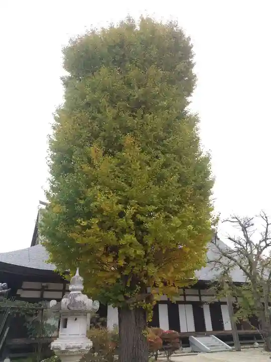 月山寺(茨城県)