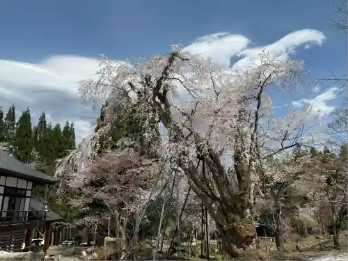 貞麟寺(長野県)