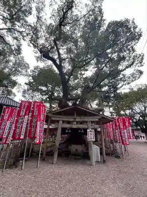 住吉大社(大阪府)