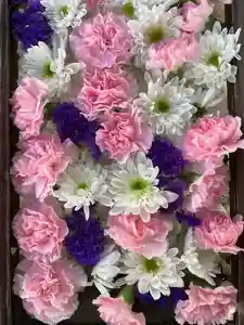 根岸八幡神社(神奈川県)(2024年04月15日(月) 17時21分52秒投稿)