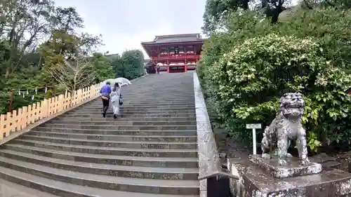 鶴岡八幡宮の狛犬
