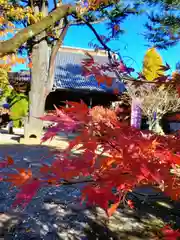 寛永寺(根本中堂)(東京都)