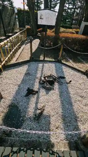 中野沼袋氷川神社の自然