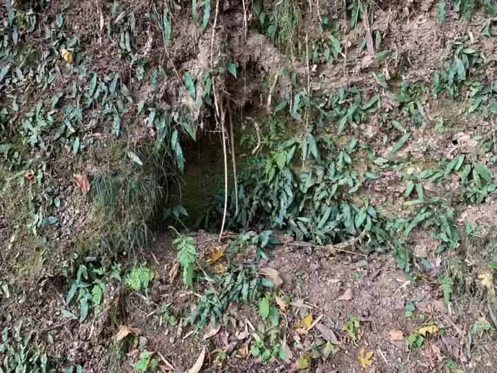 揚島天神社の自然