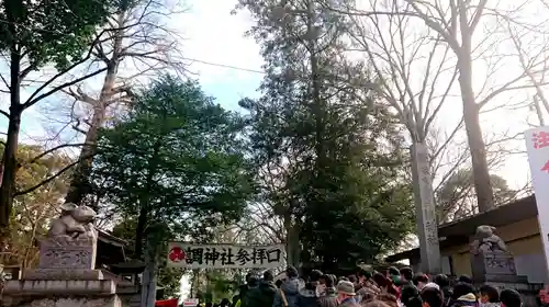 調神社の初詣