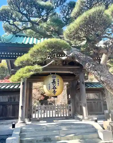 長谷寺の山門・神門