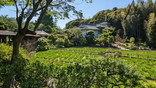 本土寺(千葉県)