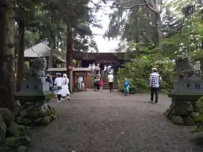 宇賀神社の本殿・本堂