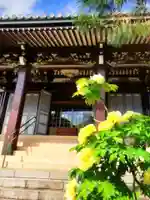 圓照寺(東京都)