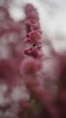 城南宮(京都府)