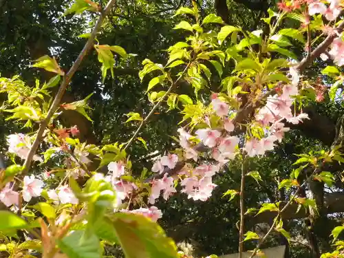 御霊神社の自然