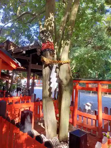 賀茂御祖神社（下鴨神社）の自然