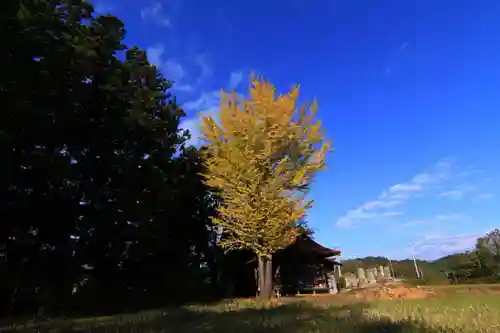 山神社の景色