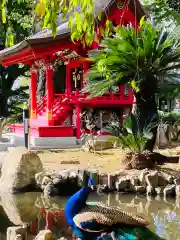 楽法寺（雨引観音）(茨城県)